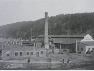 Mora